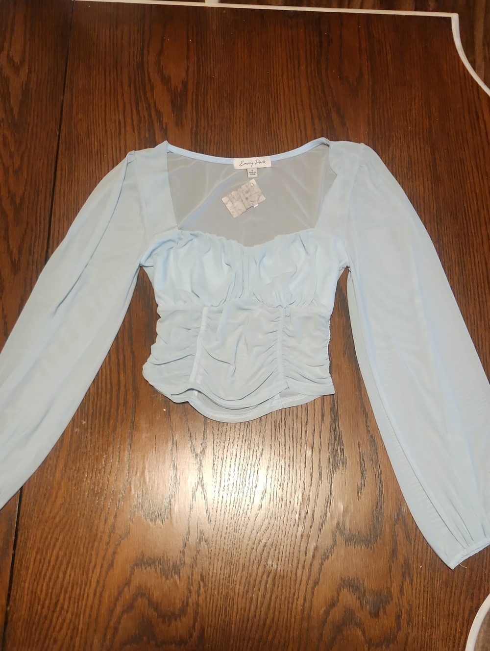 emory park Pale Blue Ruched Long Sleeve Crop Top